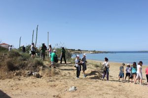 Καθαρισμός ακτών στην περιοχή της Παραλίας των Μηνιών Λειβαθούς και προστασία του σπανιου είδους της χλωρίδας των αμμοθινών Centauria pumilio, από μαθητές στα πλαίσια σχετικής δράσης του Φορέα Διαχείρισης Εθνικού Δρυμού Αίνου.