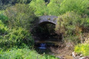 Οικοσύστημα γλυκέων υδάτων με υψηλή βιοποικιλότητα στην Κλεισούρα Κεφαλονιάς, το οποίο πλαισιώνεται από ένα πανέμορφο πέτρινο γιοφύρι.